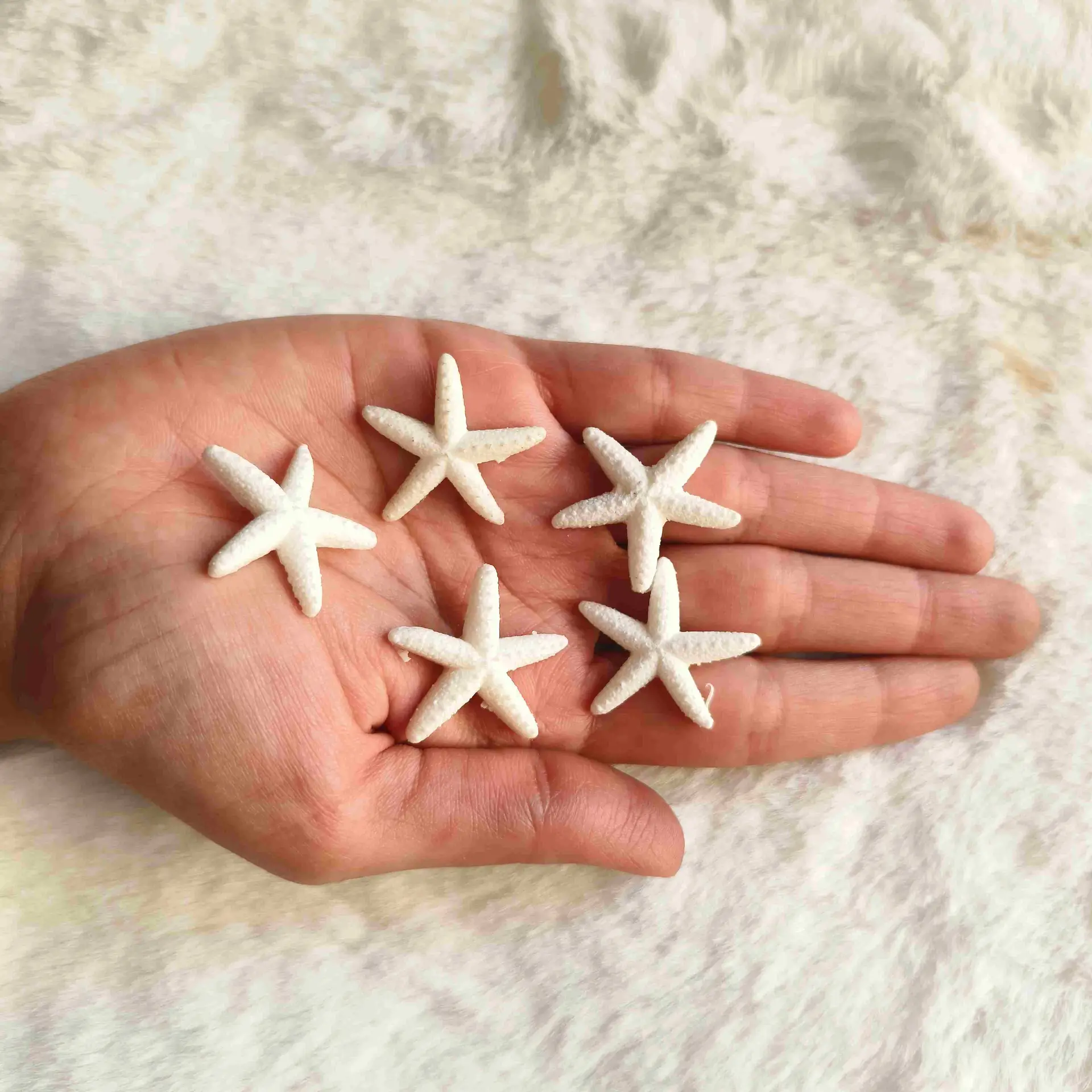 White Star Fish