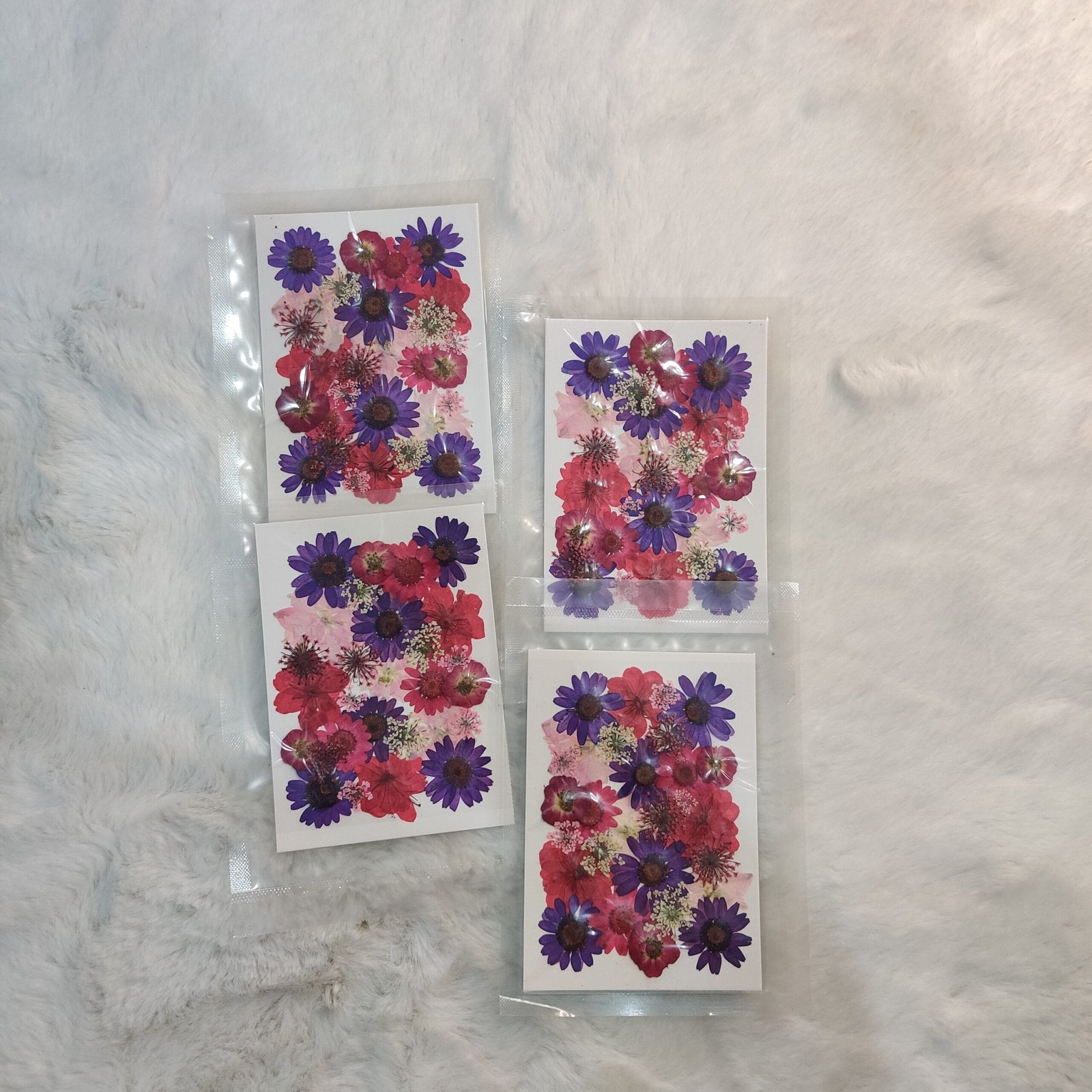 Press on mix daisy