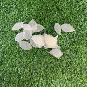 White leaf