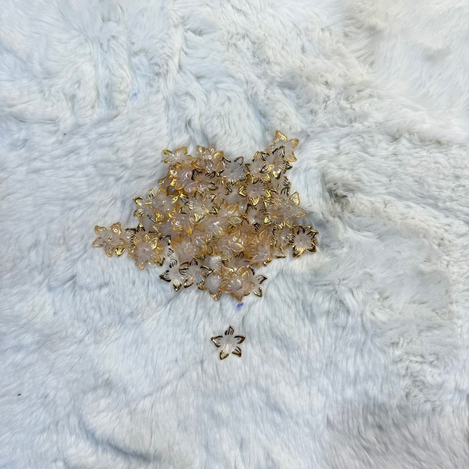 WhatsApp Image 2025-10-24 at 16.33.58