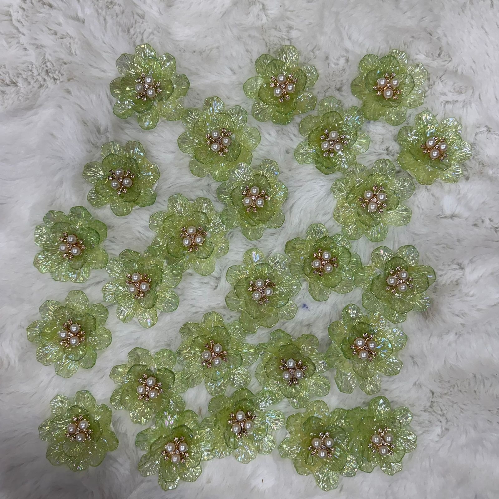 WhatsApp Image 2025-10-24 at 16.35.40