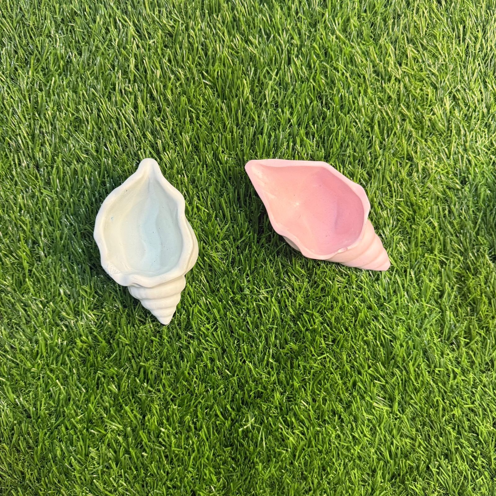 WhatsApp Image 2025-10-24 at 16.36.20