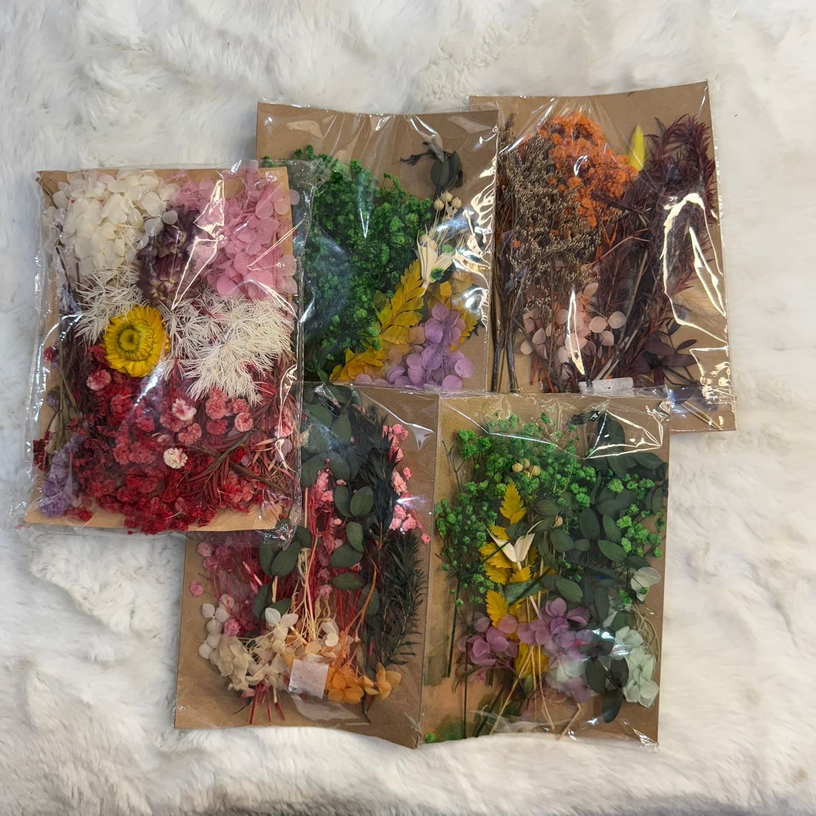 WhatsApp Image 2025-10-24 at 16.36.22 (2)