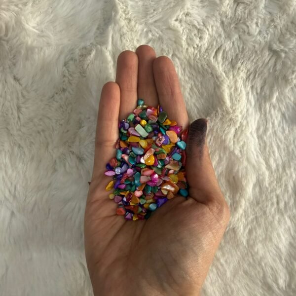 SHELLS CHIPS NUCLEOLUS STONES