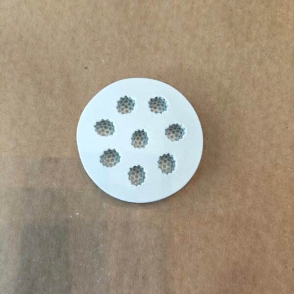 Raspberry Mould